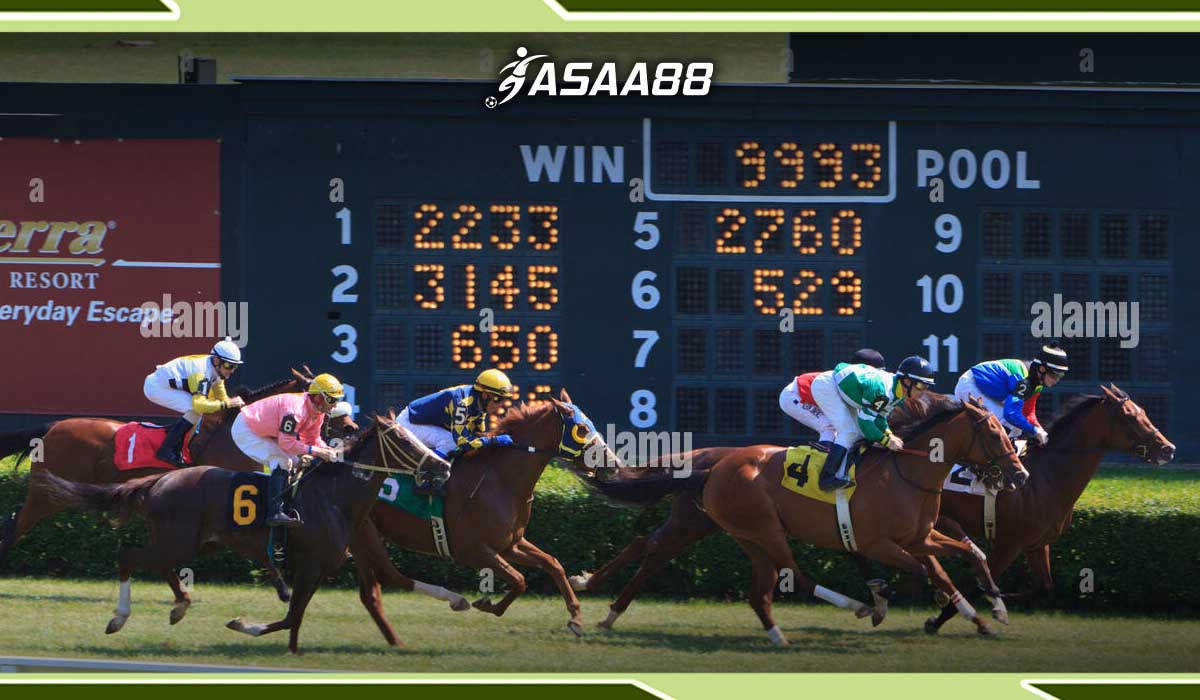 horse racing odds chart