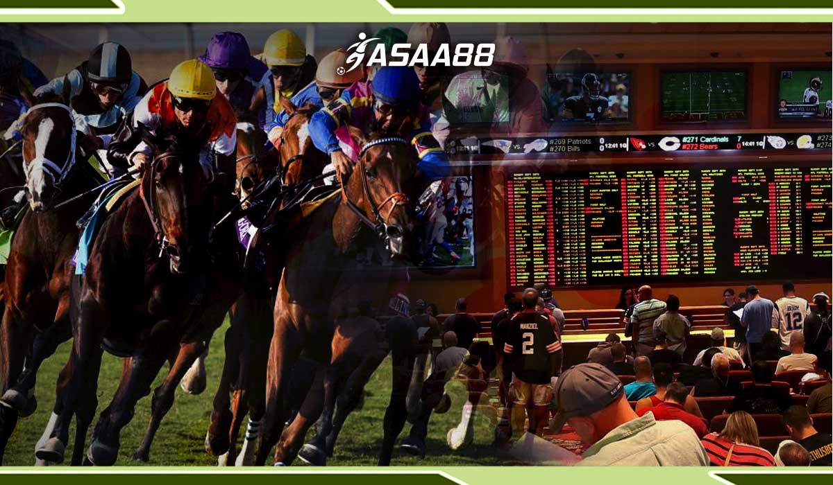 horse racing odds today