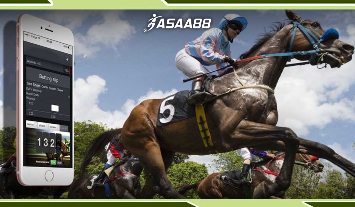 odds horse racing