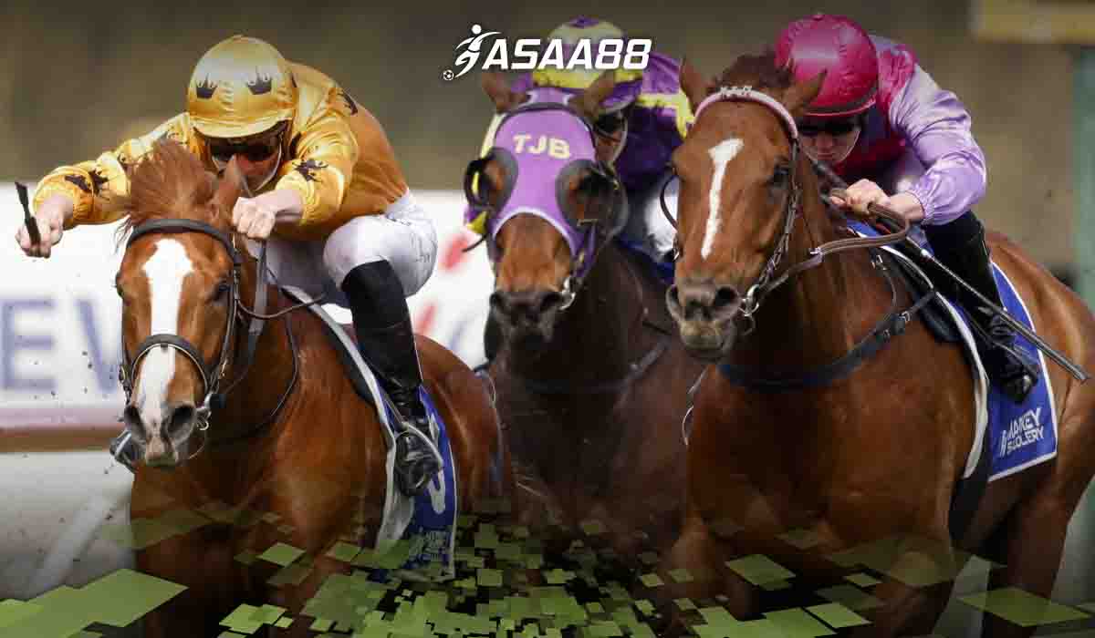 exacta betting