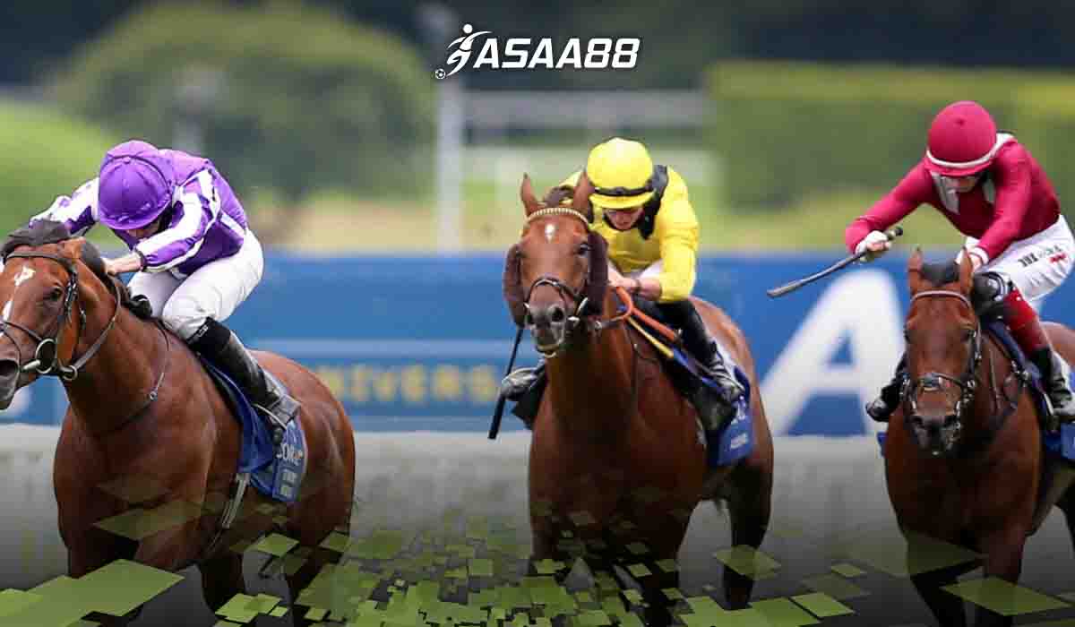 exacta box bet