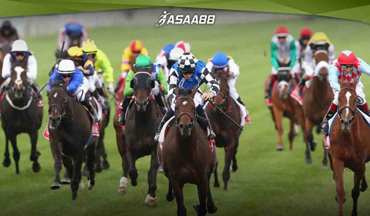 horse racing track conditions abbreviations