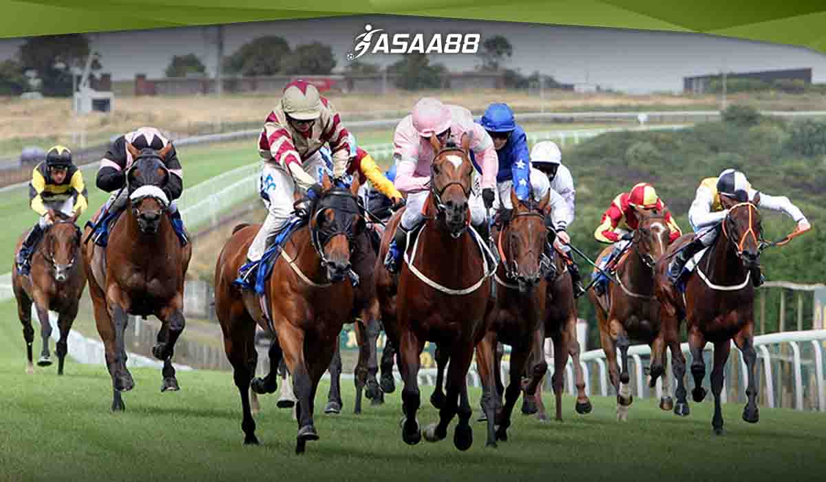 horse racing track conditions explained
