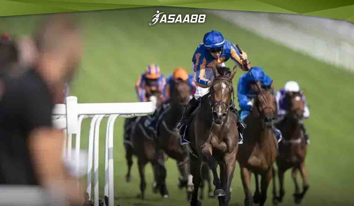 horse racing track conditions