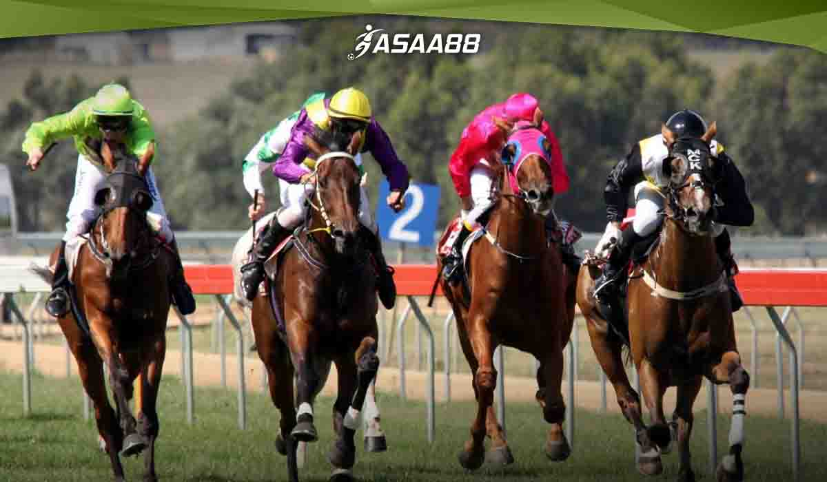 horse track conditions