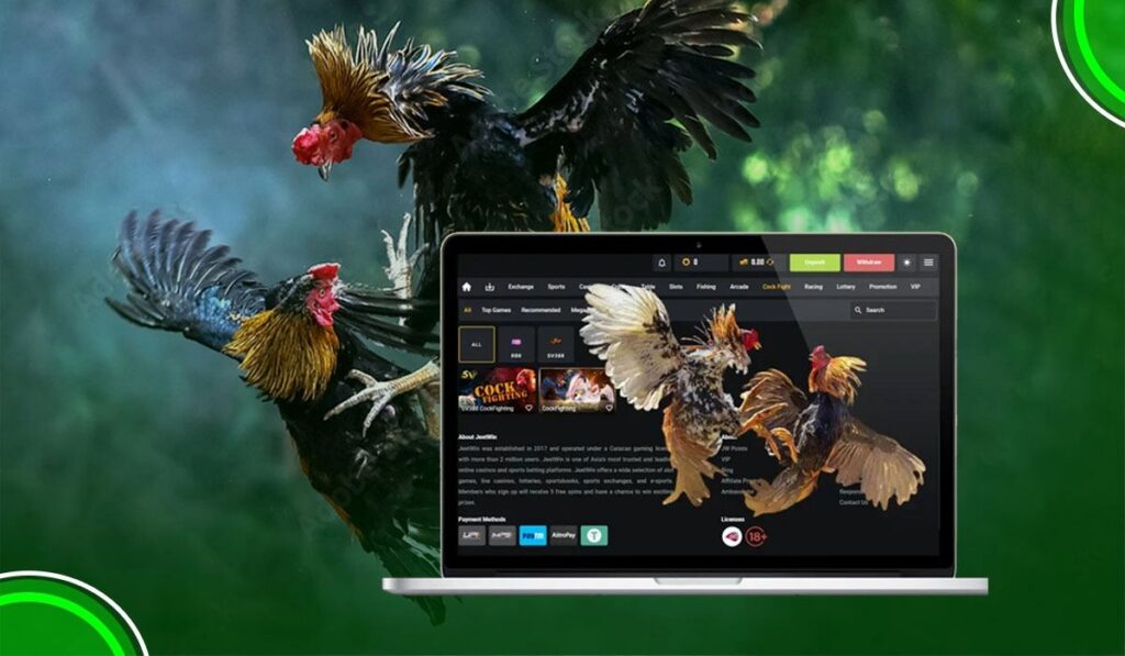 Best online cockfighting betting sites
