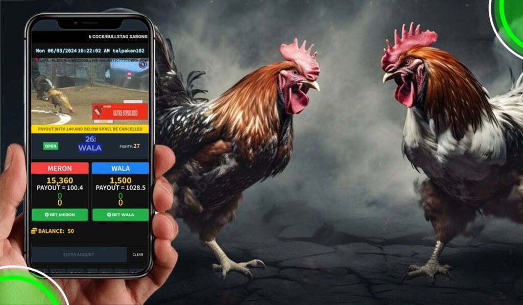 Popular cockfighting betting platforms