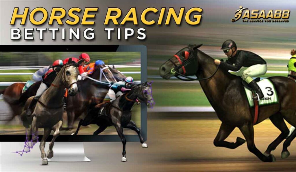 Horse racing betting tips