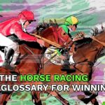 horse racing terms