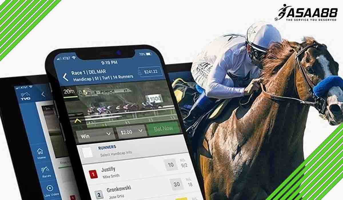 horses for courses meaning