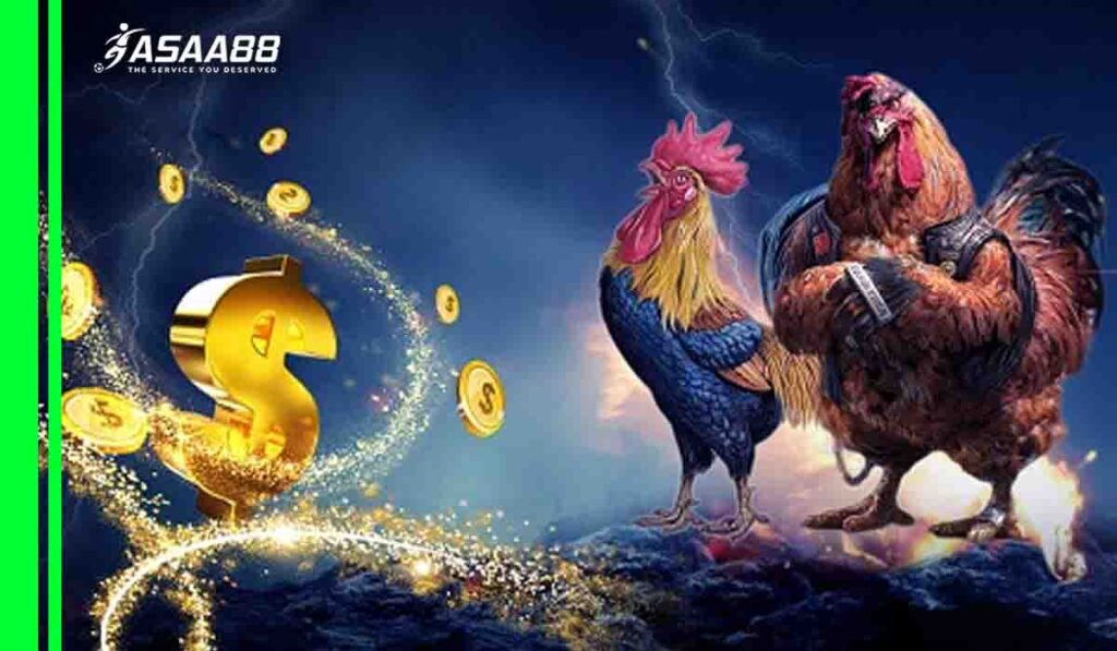 Online Cockfight Betting in Malaysia