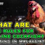 What are the Rules for Online Cockfight Betting in Malaysia_