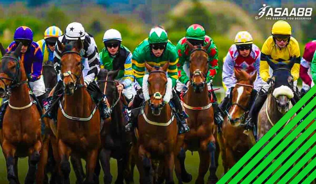 horse racing betting terminology in Malaysia