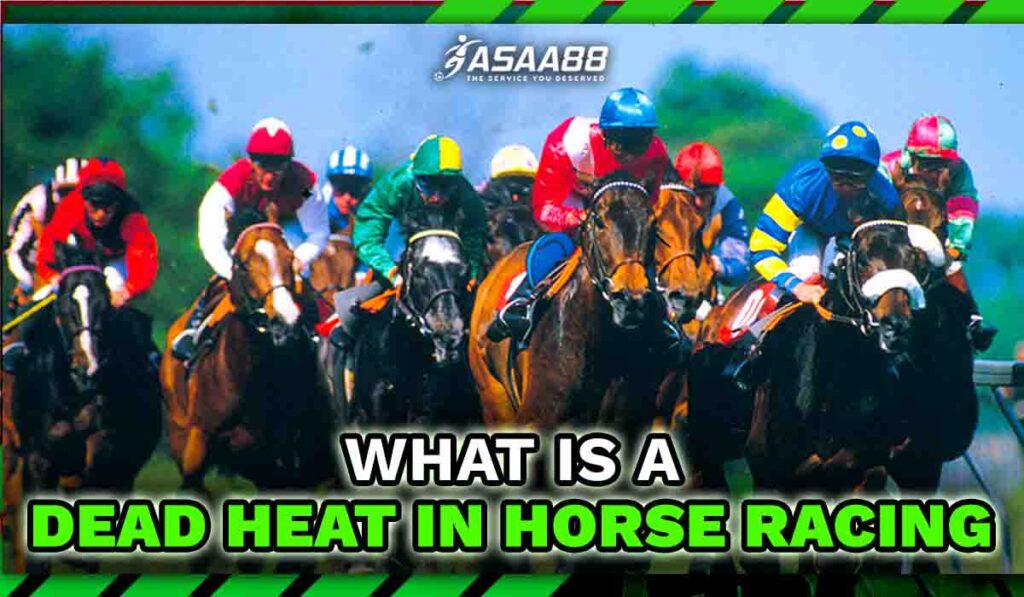 what is a dead heat horse racing