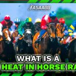 what is a dead heat horse racing