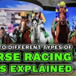 Guide to Different Types of Horse Racing Bets Explained