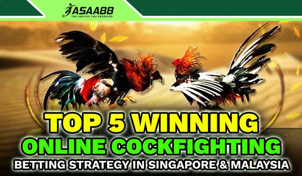 Top 5 Winning Online Cockfighting Betting Strategy