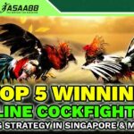 Top 5 Winning Online Cockfighting Betting Strategy