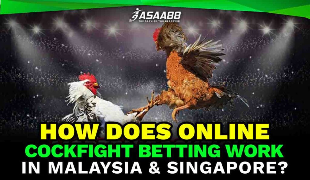 how does online cockfight betting work