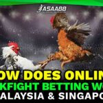 how does online cockfight betting work