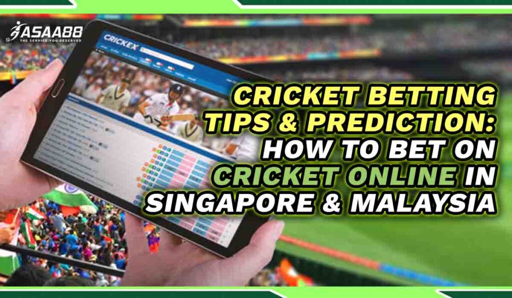 cricket betting tips