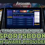 sportsbook software providers