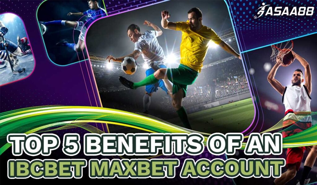 ibcbet maxbet