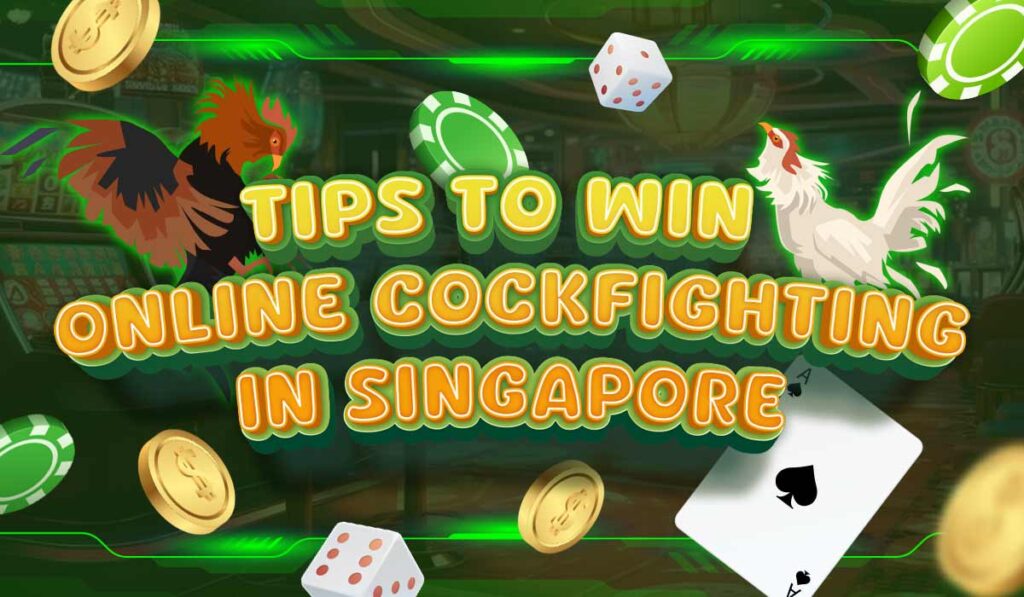 Tips to Win Online Cockfighting
