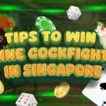 Tips to Win Online Cockfighting