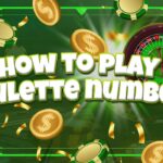 how to play roulette numbers