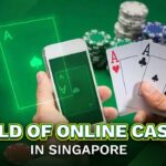 World of Online Casinos in Singapore