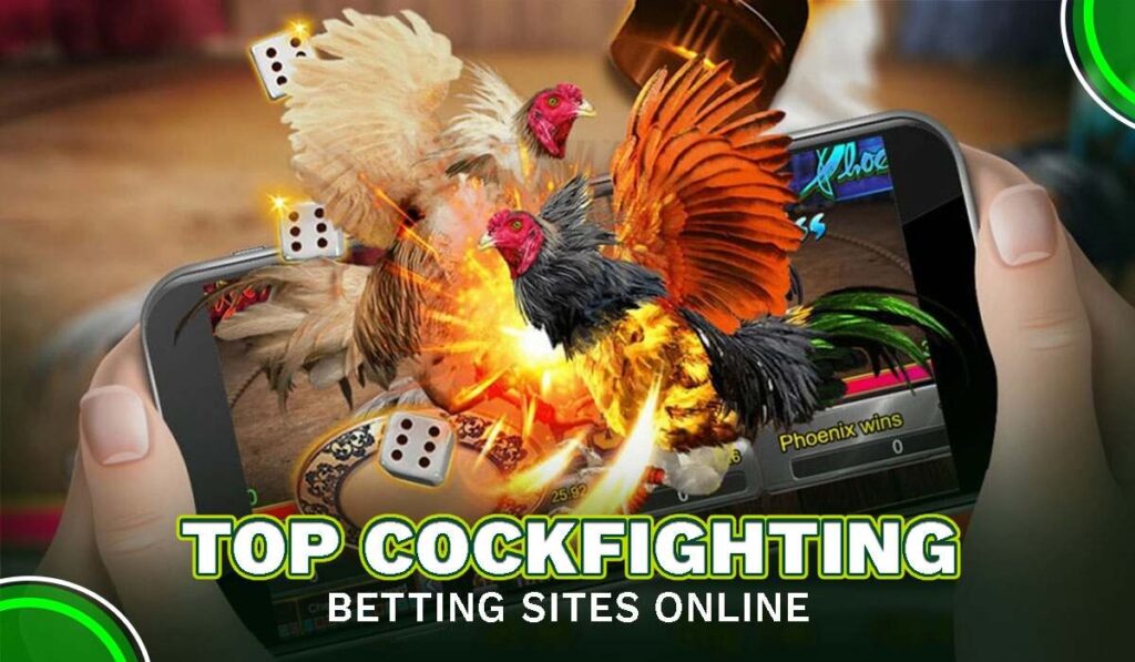 Top cockfighting betting sites online