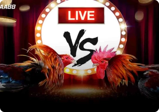 Real-time cockfight odds Malaysia platform