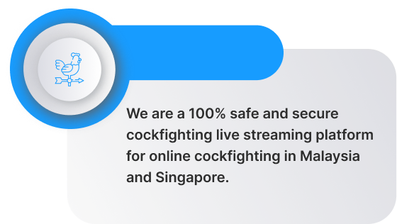 Singapore online cockfighting platform