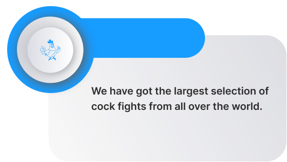 Top cockfighting betting sites in Malaysia