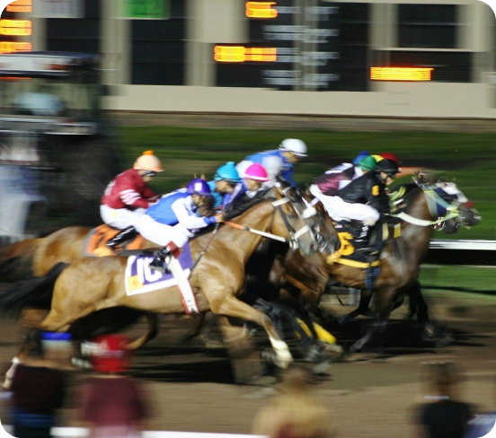 ASAA88 horse racing websites