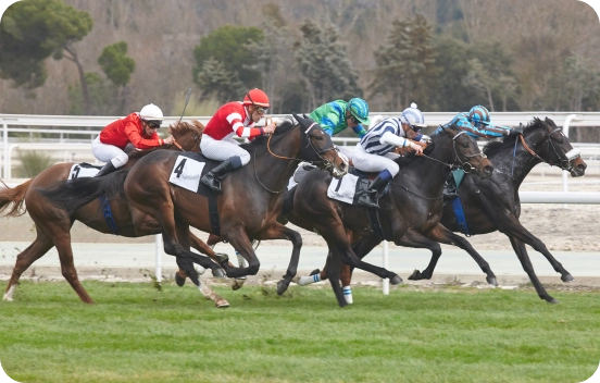 ASAA88 live horse racing