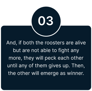 Roosters Cockfight betting sites in Singapore