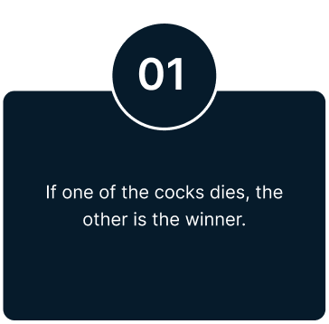 Roosters Cockfight sites in Malaysia -Singapore