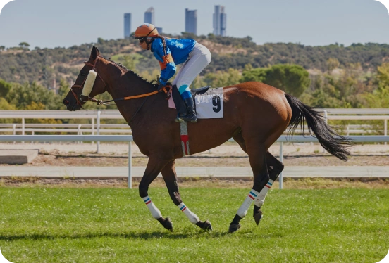 horse racing odds in Singapore and Malaysia